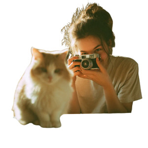 Woman Photographing Cat Vinyl Car Decal Sticker – Waterproof & UV-Resistant 3.4133333333333336" Woman Photographing Cat Vinyl Car Decal Sticker – Waterproof & UV-Resistant 3.4133333333333336"