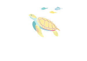 Pastel Turtle Illustration Vinyl Car Decal Sticker – Waterproof & UV-Resistant 3.0933333333333333"