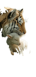 Fluffy Friends Cuddling V2 Vinyl Car Decal Sticker – Waterproof & UV-Resistant 10.56"
