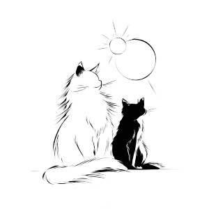 Cats Sun Moon Vinyl Car Decal Sticker – Waterproof & UV-Resistant 3.4133333333333336"