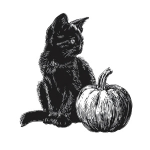 Black Cat Pumpkin Vinyl Car Decal Sticker – Waterproof & UV-Resistant 3.4133333333333336"
