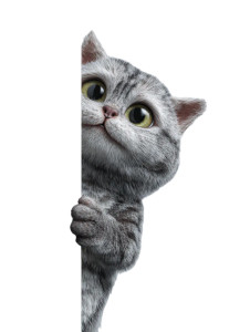 Playful Tabby Cat V3 Vinyl Car Decal Sticker – Waterproof & UV-Resistant 4.1066666666666665"