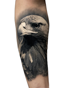 Golden Eagle Tattoo Vinyl Car Decal Sticker – Waterproof & UV-Resistant 8.213333333333333" Golden Eagle Tattoo Vinyl Car Decal Sticker – Waterproof & UV-Resistant 8.213333333333333"