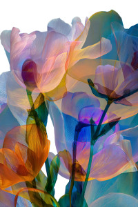 Translucent Floral Glow Vinyl Car Decal Sticker – Waterproof & UV-Resistant 8.96"
