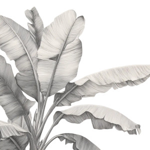 Banana Tree Leaves Vinyl Car Decal Sticker – Waterproof & UV-Resistant 3.4133333333333336"