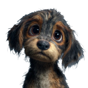 Sad Puppy Eyes Vinyl Car Decal Sticker – Waterproof & UV-Resistant 3.4133333333333336"