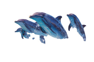 Leaping Dolphins V6 Vinyl Car Decal Sticker – Waterproof & UV-Resistant 2.986666666666667" Leaping Dolphins V6 Vinyl Car Decal Sticker – Waterproof & UV-Resistant 2.986666666666667"