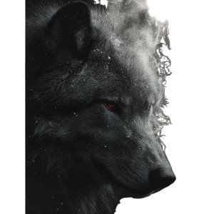 Direwolf Portrait V2 Vinyl Car Decal Sticker – Waterproof & UV-Resistant 3.4133333333333336"