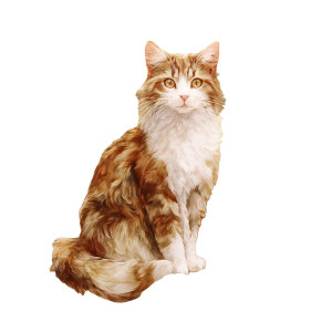 Majestic Kitty Portrait Vinyl Car Decal Sticker – Waterproof & UV-Resistant 6.826666666666667"