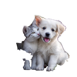Playful Kitten Puppy Vinyl Car Decal Sticker – Waterproof & UV-Resistant 3.4133333333333336" Playful Kitten Puppy Vinyl Car Decal Sticker – Waterproof & UV-Resistant 3.4133333333333336"