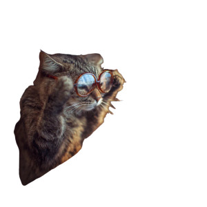 Hacker Cat V3 Vinyl Car Decal Sticker – Waterproof & UV-Resistant 6.826666666666667"