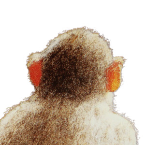 Monkey Backside Vinyl Car Decal Sticker – Waterproof & UV-Resistant 6.826666666666667"