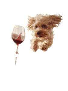 Playful Dog Jumping Vinyl Car Decal Sticker – Waterproof & UV-Resistant 8.213333333333333"