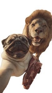 Pug And Lion Selfie Vinyl Car Decal Sticker – Waterproof & UV-Resistant 9.706666666666667" Pug And Lion Selfie Vinyl Car Decal Sticker – Waterproof & UV-Resistant 9.706666666666667"