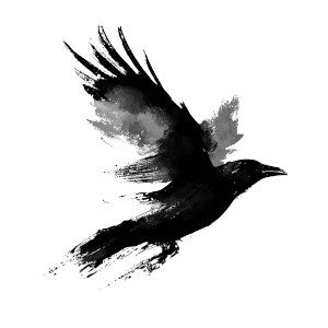 Black Raven Silhouette Vinyl Car Decal Sticker – Waterproof & UV-Resistant 3.4133333333333336" Black Raven Silhouette Vinyl Car Decal Sticker – Waterproof & UV-Resistant 3.4133333333333336"