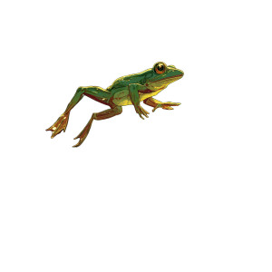 Jumping Frog V3 Vinyl Car Decal Sticker – Waterproof & UV-Resistant 3.4133333333333336" Jumping Frog V3 Vinyl Car Decal Sticker – Waterproof & UV-Resistant 3.4133333333333336"