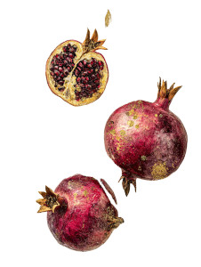 Gilded Pomegranate Branch Vinyl Car Decal Sticker – Waterproof & UV-Resistant 8.213333333333333"