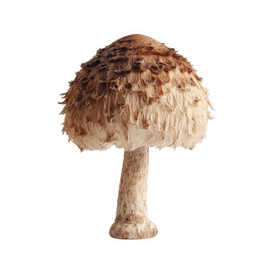 Shaggy Mushroom Product Vinyl Car Decal Sticker – Waterproof & UV-Resistant 3.4133333333333336" Shaggy Mushroom Product Vinyl Car Decal Sticker – Waterproof & UV-Resistant 3.4133333333333336"