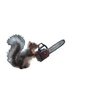 Squirrel Vs Dragon Vinyl Car Decal Sticker – Waterproof & UV-Resistant 3.4133333333333336" Squirrel Vs Dragon Vinyl Car Decal Sticker – Waterproof & UV-Resistant 3.4133333333333336"
