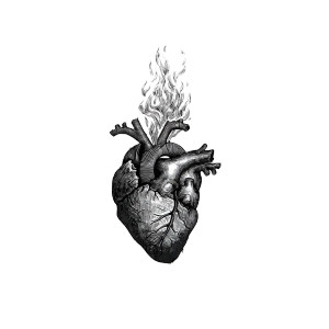Fiery Heart Logo Vinyl Car Decal Sticker – Waterproof & UV-Resistant 6.826666666666667"