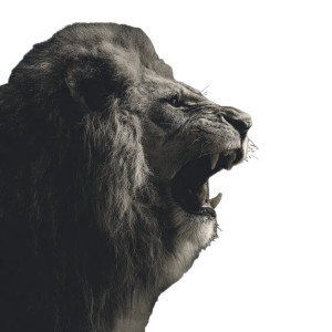 Lion'S Roar Vinyl Car Decal Sticker – Waterproof & UV-Resistant 3.4133333333333336" Lion'S Roar Vinyl Car Decal Sticker – Waterproof & UV-Resistant 3.4133333333333336"
