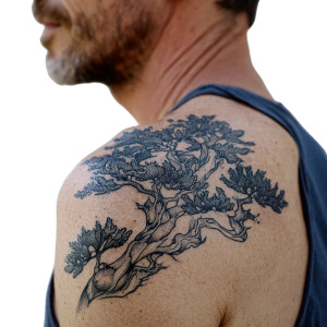 Juniper Tree Tattoo Vinyl Car Decal Sticker – Waterproof & UV-Resistant 3.4133333333333336"