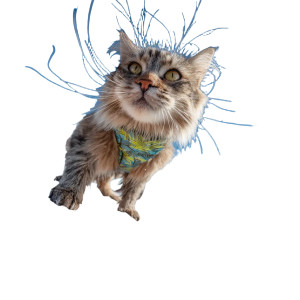 Surfing Cat V7 Vinyl Car Decal Sticker – Waterproof & UV-Resistant 3.4133333333333336" Surfing Cat V7 Vinyl Car Decal Sticker – Waterproof & UV-Resistant 3.4133333333333336"