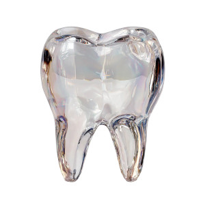 Glass Tooth Vinyl Car Decal Sticker – Waterproof & UV-Resistant 6.826666666666667"