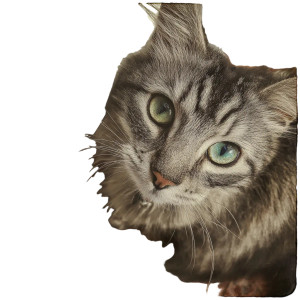 Old Phone Cat Vinyl Car Decal Sticker – Waterproof & UV-Resistant 3.4133333333333336"