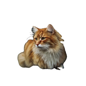 Cat V229 Vinyl Car Decal Sticker – Waterproof & UV-Resistant 3.4133333333333336"