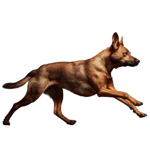 Running Brown Dog Vinyl Car Decal Sticker – Waterproof & UV-Resistant 3.4133333333333336" Running Brown Dog Vinyl Car Decal Sticker – Waterproof & UV-Resistant 3.4133333333333336"