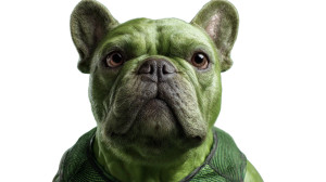 Hulk Bulldog Vinyl Car Decal Sticker – Waterproof & UV-Resistant 5.4 Hulk Bulldog Vinyl Car Decal Sticker – Waterproof & UV-Resistant 5.4
