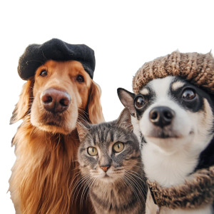 Pets In Paris Vinyl Car Decal Sticker – Waterproof & UV-Resistant 6.826666666666667"