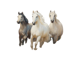 Vintage Running Horses Vinyl Car Decal Sticker – Waterproof & UV-Resistant 6.1866666666666665" Vintage Running Horses Vinyl Car Decal Sticker – Waterproof & UV-Resistant 6.1866666666666665"