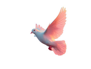 White Dove Silhouette Vinyl Car Decal Sticker – Waterproof & UV-Resistant 3.0933333333333333"