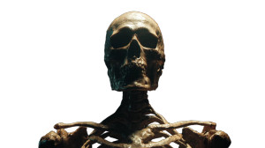 Skeletal Anatomy Shot Vinyl Car Decal Sticker – Waterproof & UV-Resistant 5.4