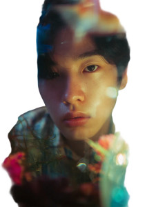 Aquarium Gaze Vinyl Car Decal Sticker – Waterproof & UV-Resistant 4.1066666666666665"