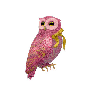 Pink Owl Matisse Vinyl Car Decal Sticker – Waterproof & UV-Resistant 6.826666666666667"