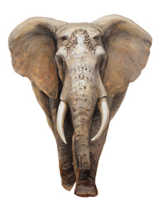 Majestic African Elephant Vinyl Car Decal Sticker – Waterproof & UV-Resistant 8.213333333333333" Majestic African Elephant Vinyl Car Decal Sticker – Waterproof & UV-Resistant 8.213333333333333"