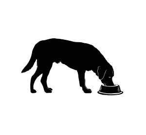 Labrador Eating Vinyl Car Decal Sticker – Waterproof & UV-Resistant 6.826666666666667" Labrador Eating Vinyl Car Decal Sticker – Waterproof & UV-Resistant 6.826666666666667"