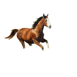 Galloping Horse V4 Vinyl Car Decal Sticker – Waterproof & UV-Resistant 3.4133333333333336" Galloping Horse V4 Vinyl Car Decal Sticker – Waterproof & UV-Resistant 3.4133333333333336"