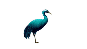 Chinese Crane Art Vinyl Car Decal Sticker – Waterproof & UV-Resistant 5.4