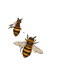 Bees And Flowers V2 Vinyl Car Decal Sticker – Waterproof & UV-Resistant 3.4133333333333336" Bees And Flowers V2 Vinyl Car Decal Sticker – Waterproof & UV-Resistant 3.4133333333333336"