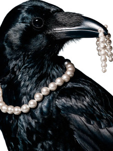 Crow With Pearls Vinyl Car Decal Sticker – Waterproof & UV-Resistant 8.213333333333333" Crow With Pearls Vinyl Car Decal Sticker – Waterproof & UV-Resistant 8.213333333333333"
