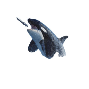 Killer Whale Missile Vinyl Car Decal Sticker – Waterproof & UV-Resistant 3.4133333333333336" Killer Whale Missile Vinyl Car Decal Sticker – Waterproof & UV-Resistant 3.4133333333333336"