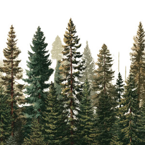 Pine Trees Vinyl Car Decal Sticker – Waterproof & UV-Resistant 3.4133333333333336"