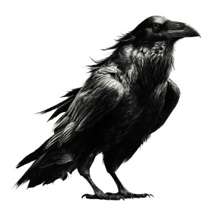 Battle-Hardened Raven Vinyl Car Decal Sticker – Waterproof & UV-Resistant 3.4133333333333336"