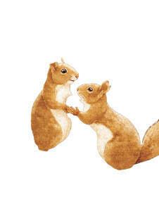 Squirrel Siblings Gathering Vinyl Car Decal Sticker – Waterproof & UV-Resistant 8.213333333333333"