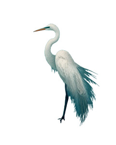Elegant White Egret Vinyl Car Decal Sticker – Waterproof & UV-Resistant 8.0"