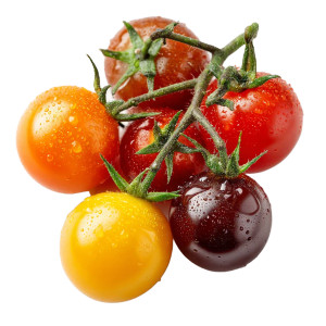 Colorful Cherry Tomatoes Vinyl Car Decal Sticker – Waterproof & UV-Resistant 3.4133333333333336"